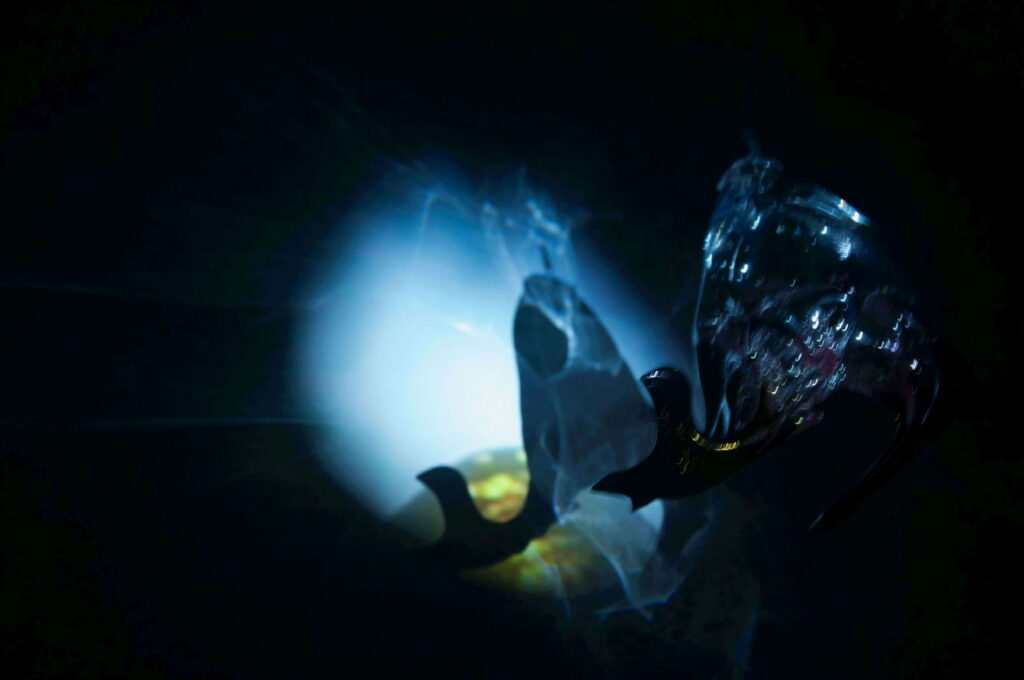 Double Take, Installation Hanna Woll mit Anika Hirt