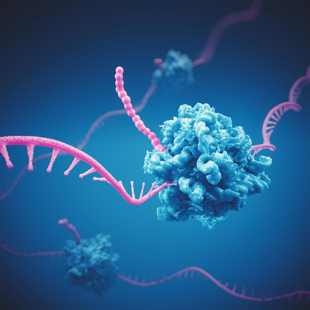 Oligonukleotide Visualisierung