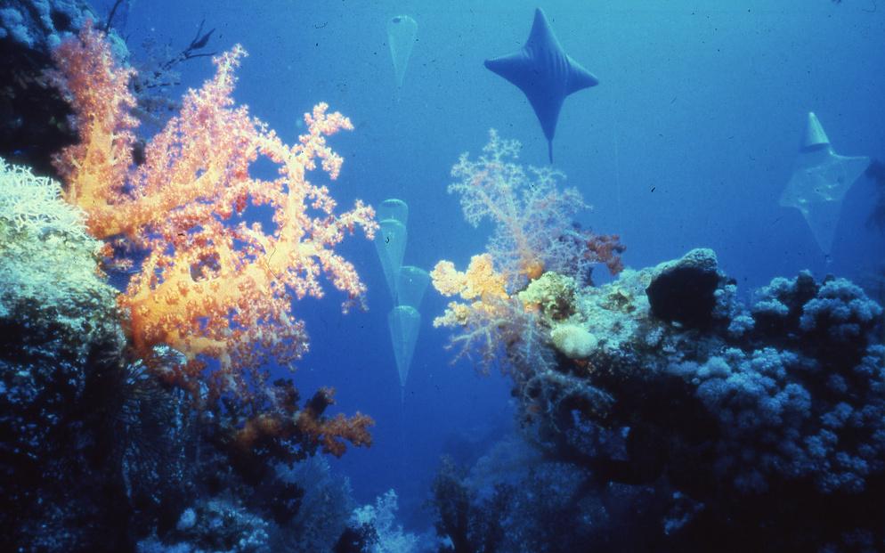 Jürgen-Claus-Stipendium Jürgen-Claus-Stipendium