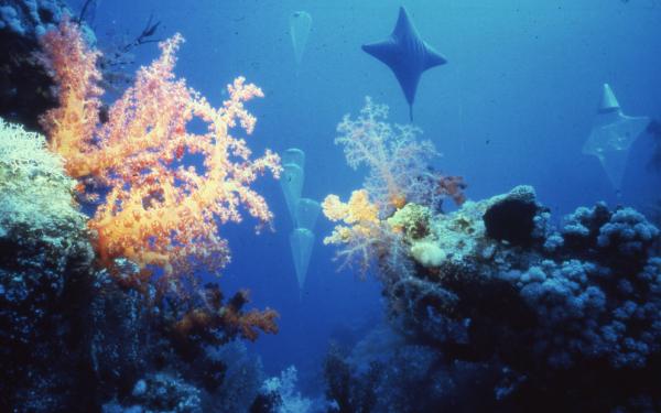 Jürgen-Claus-Stipendium Jürgen-Claus-Stipendium